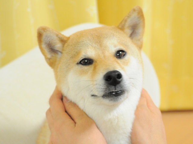 お邪魔しました!_a0126590_4495998.jpg