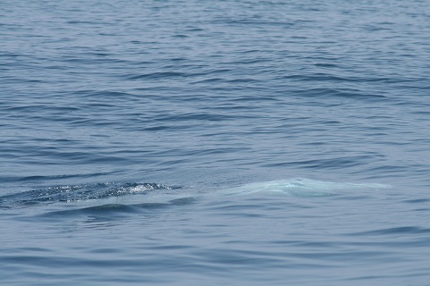 e0003090_20112131.jpg