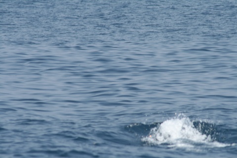 e0003090_20114870.jpg