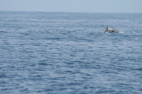 e0003090_20124447.jpg
