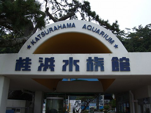 e0003090_201727.jpg