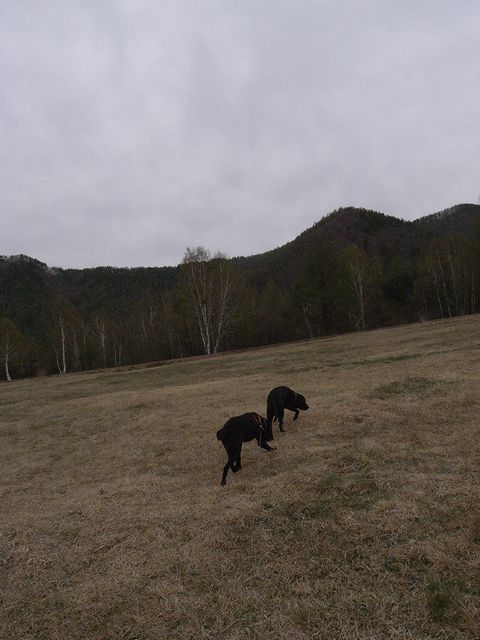 a0093592_23484429.jpg