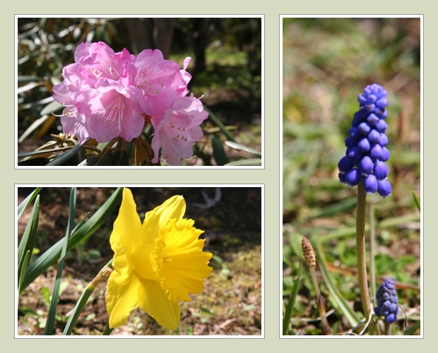 平岡樹芸センター(5/16)_f0146493_22232293.jpg