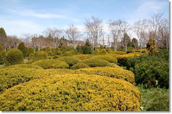 平岡樹芸センター(5/16)_f0146493_22233535.jpg