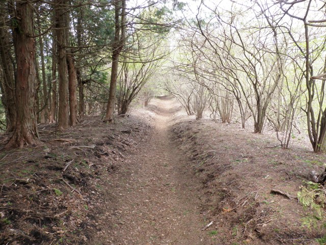 富士山ビューポイント・石割山トレイルランニング_d0122797_23121510.jpg