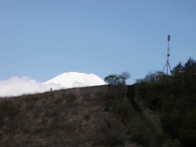 富士山ビューポイント・石割山トレイルランニング_d0122797_23182166.jpg