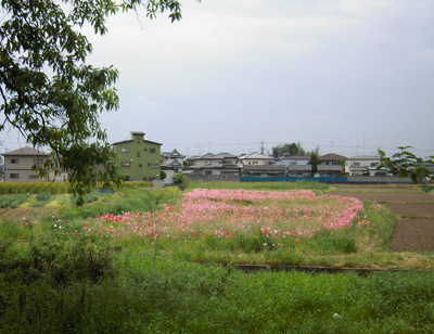 c0148401_18182655.jpg