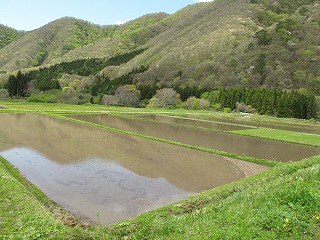 久しぶりの更新です(^_^;)_b0152504_8195125.jpg