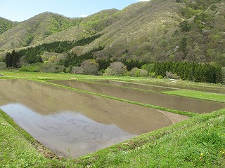 久しぶりの更新です(^_^；)_b0152504_8195125.jpg