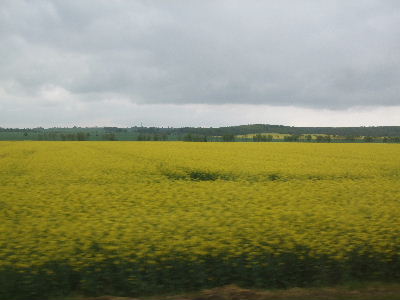 e0149604_74533.jpg