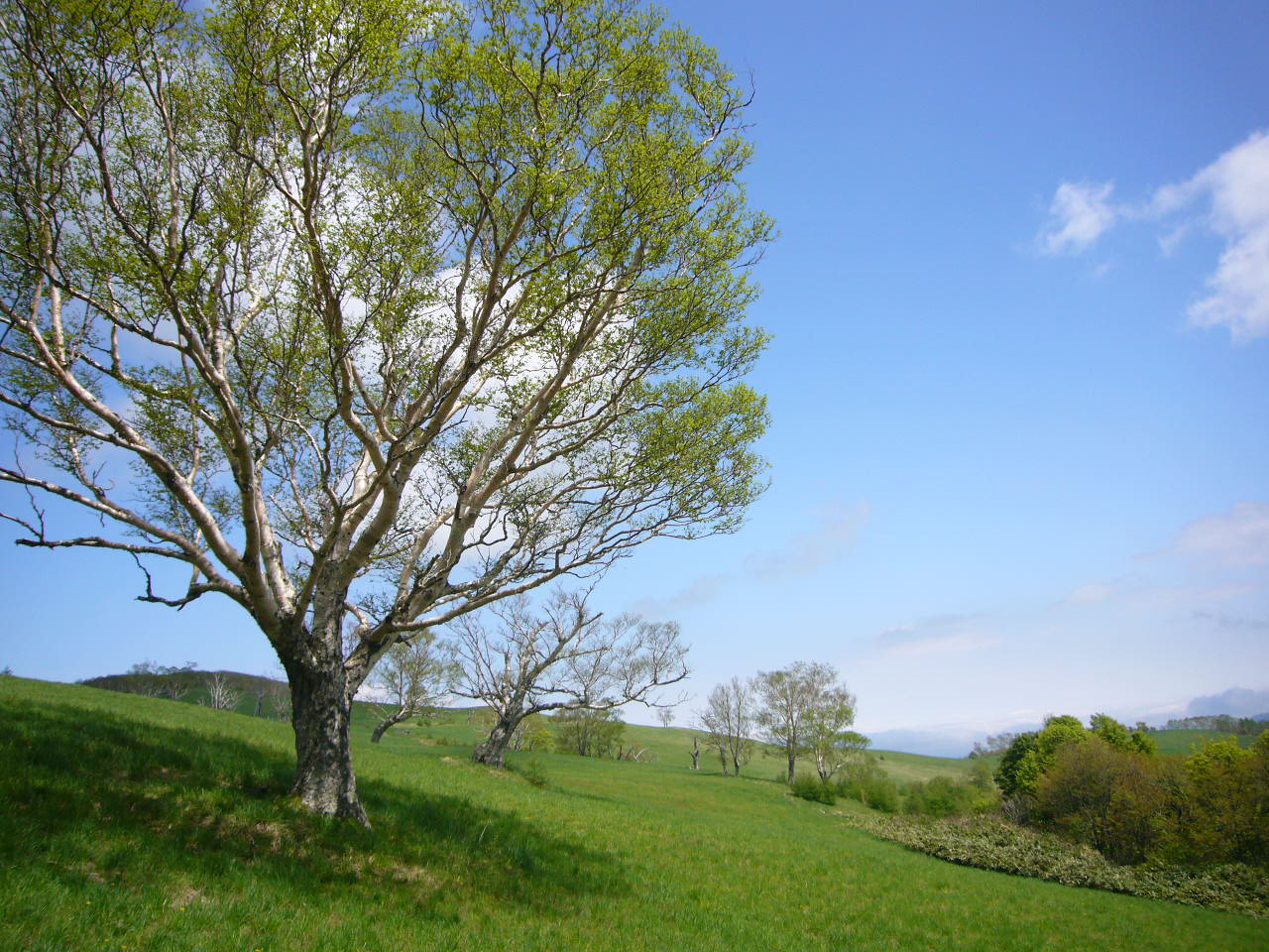 b0050305_1425529.jpg