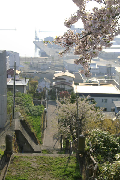 d0131305_4142528.jpg