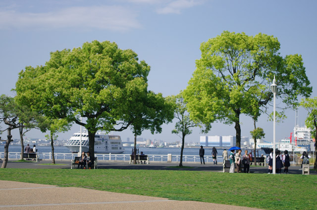 e0138005_1520594.jpg