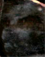 e0103408_13421213.gif
