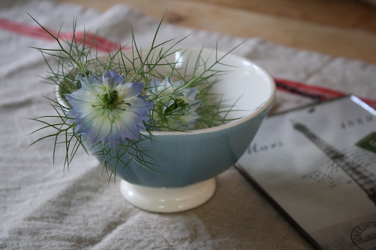 fleurs de jardin_e0126308_2202473.jpg
