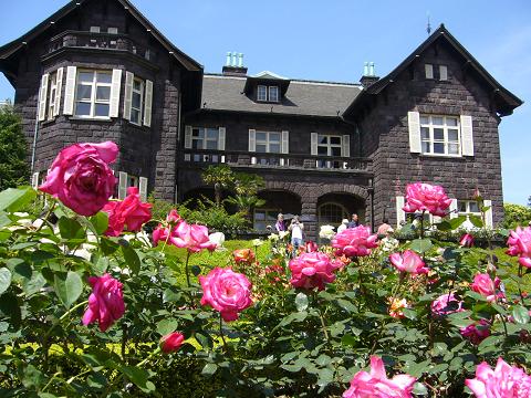 旧古河庭園の春バラ 前編 オートクチュールの旅日記 旧古河庭園の春バラ 前編 オートクチュールの旅日記