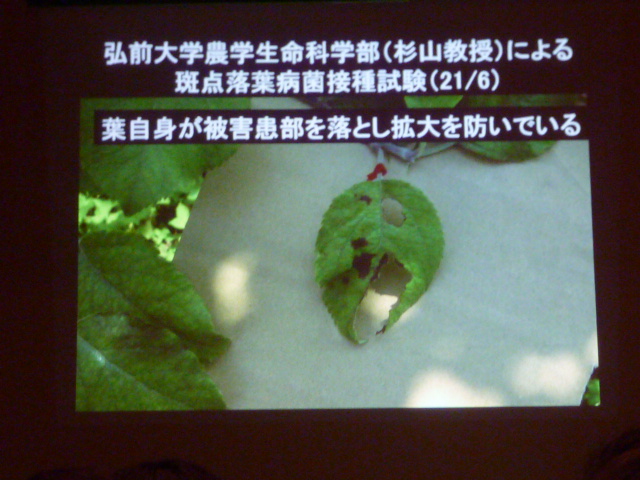 a0080610_19163534.jpg