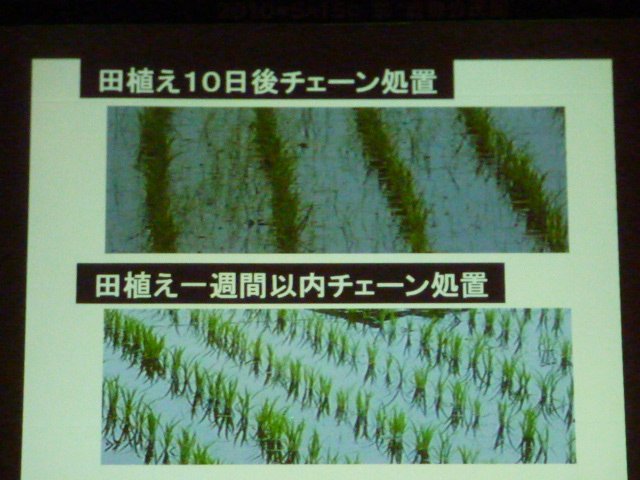 a0080610_19441191.jpg