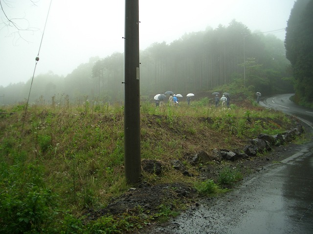 富士山麓の土採取現場を視察_f0141310_23565817.jpg