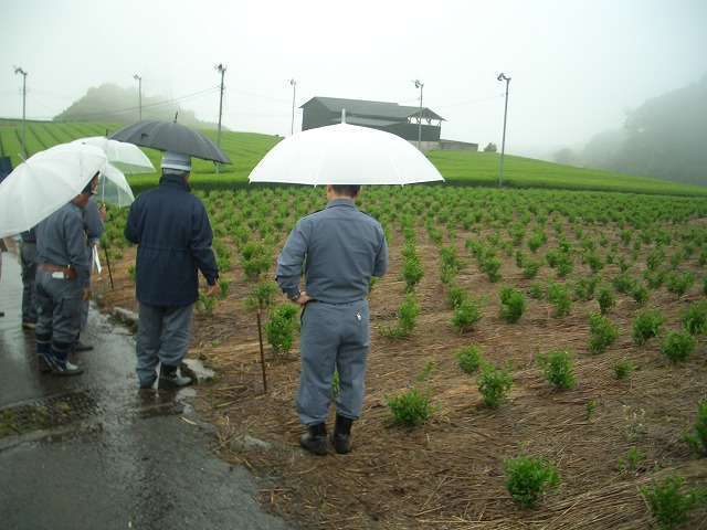 富士山麓の土採取現場を視察_f0141310_23575356.jpg
