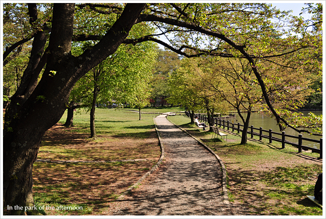 高松公園_a0162813_171307.jpg