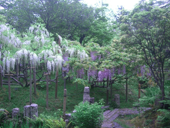 d0007913_2033569.jpg