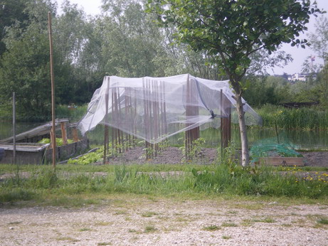 c0124619_419595.jpg