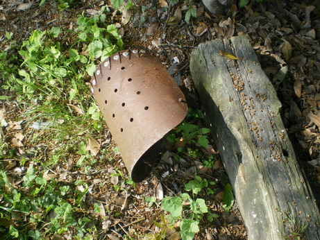c0124619_4202550.jpg