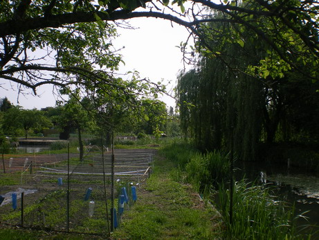 c0124619_4225250.jpg