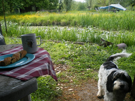 c0124619_42435.jpg