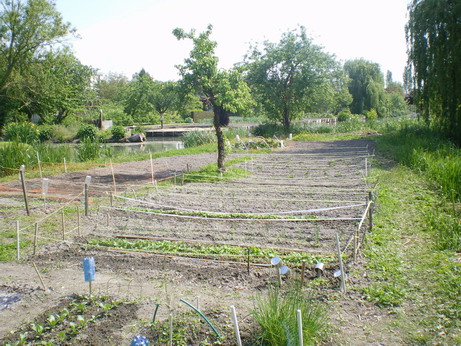 c0124619_4253081.jpg