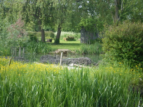 c0124619_441383.jpg