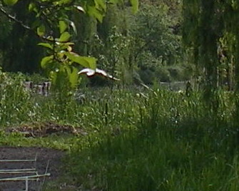 c0124619_4503314.jpg