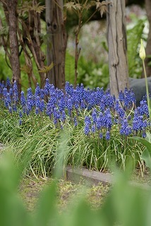 f0170524_12103159.jpg