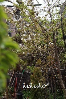 f0170524_12153358.jpg
