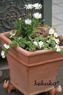 f0170524_1261134.jpg