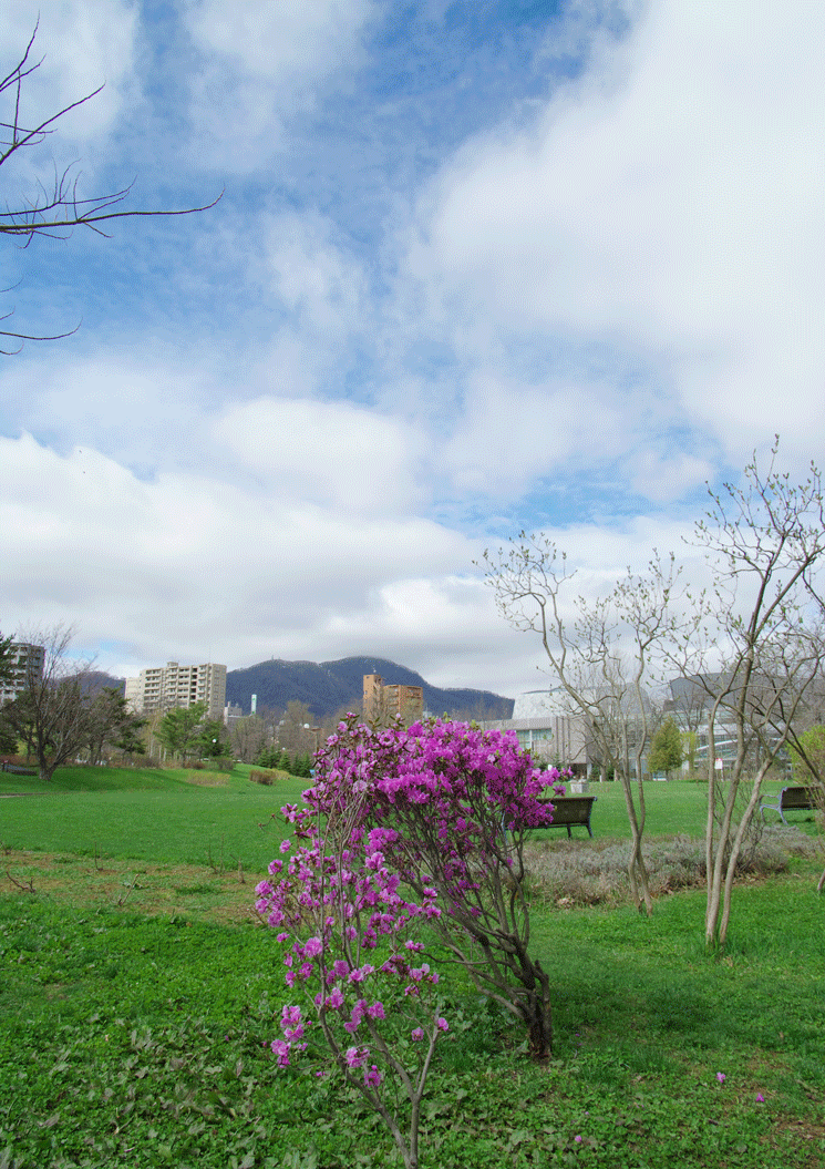 中島公園（札幌旅行最終日）_c0223825_16401.gif