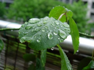 雨の休日_f0083426_18212049.jpg