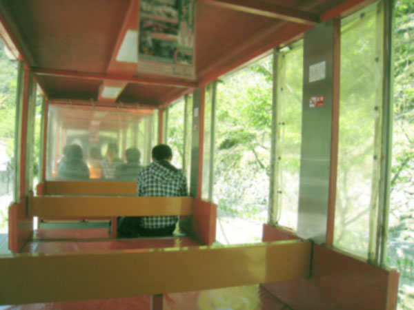 d0036630_1455021.jpg
