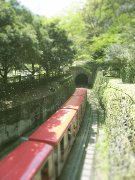 d0036630_1694663.jpg