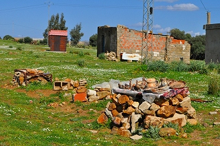 a0141134_2391021.jpg