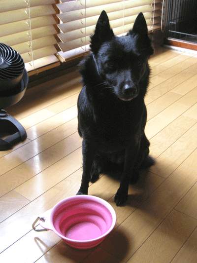 d0049135_1284224.gif