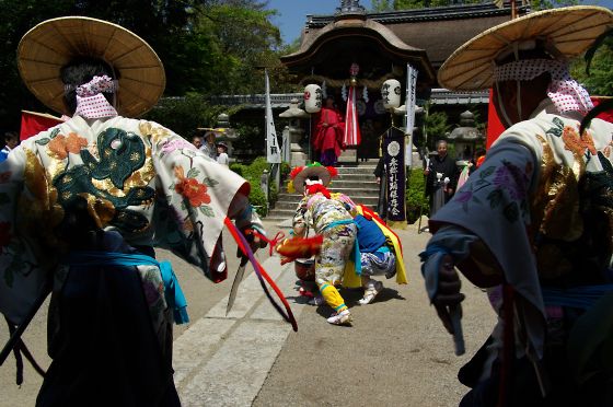 サンヤレ踊り　(老杉神社)_a0031741_12532186.jpg