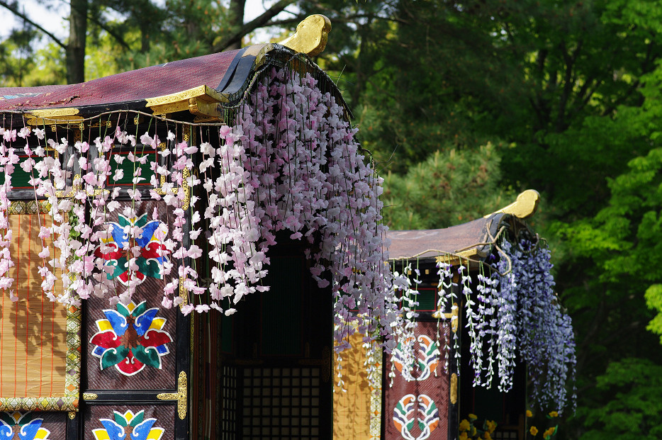 杜若と葵祭り（．．のあと）_f0152550_20572850.jpg