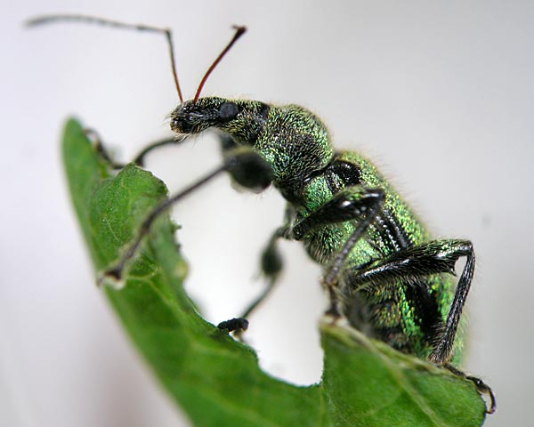e0035757_16444288.jpg