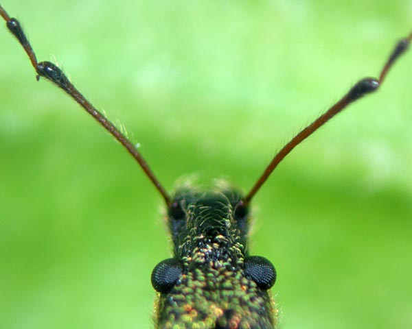 e0035757_16453391.jpg