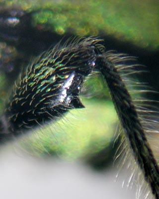 e0035757_16463380.jpg