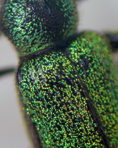e0035757_16472056.jpg