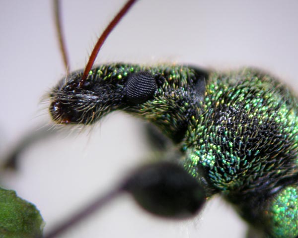 e0035757_164825100.jpg