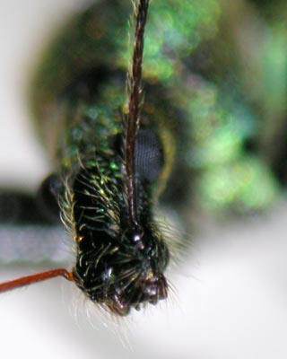 e0035757_16484068.jpg